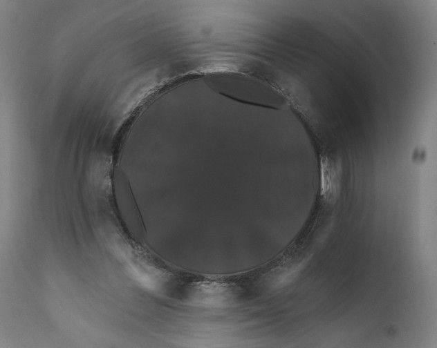 X0000111520300200908111209