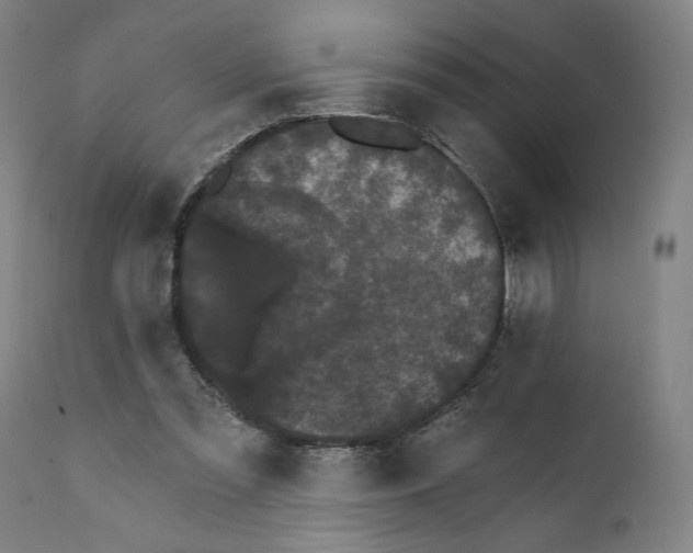 X0000111520301200908111209