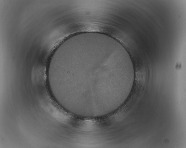 X0000111520302200908111209