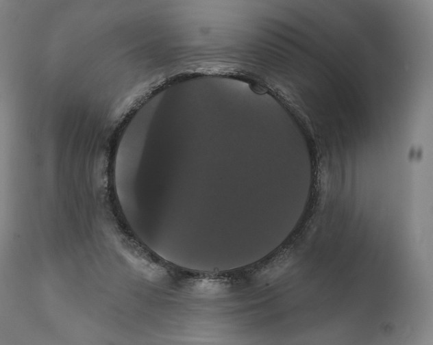 X0000111520303200908111208