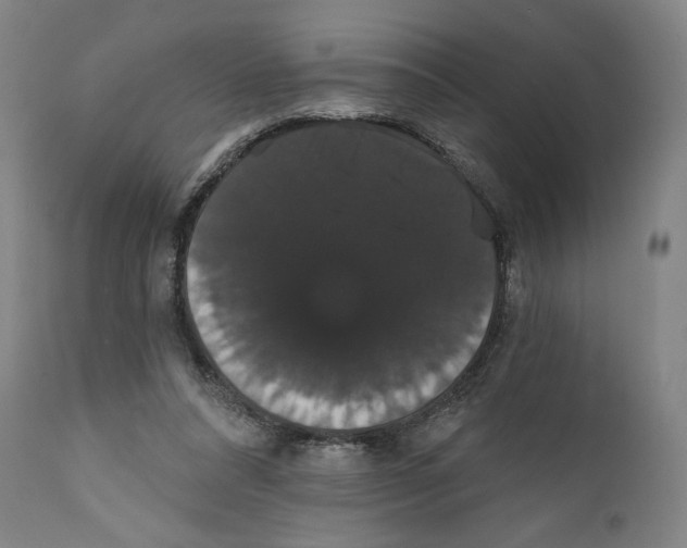 X0000111520304200908111208