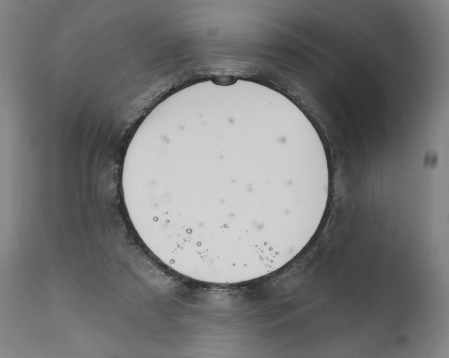 X0000111520305200908111208