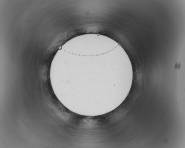X0000111520311200908111208