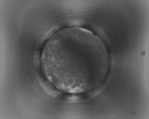 X0000111520312200908111208