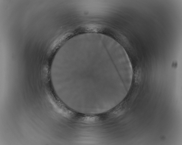 X0000111520314200908111208