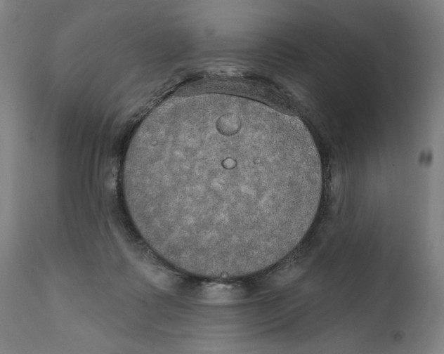 X0000111520315200908111208