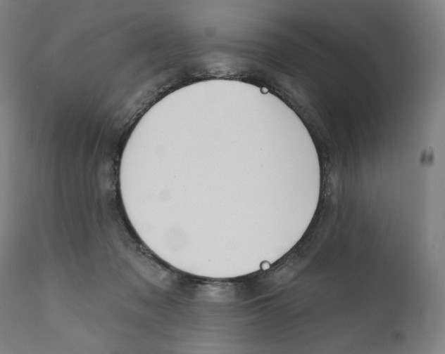 X0000111520317200908111208