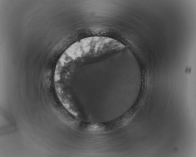 X0000111520319200908111208