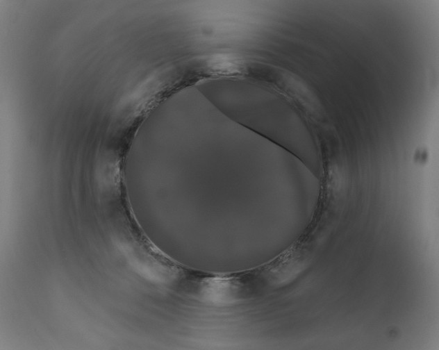X0000111520320200908111208