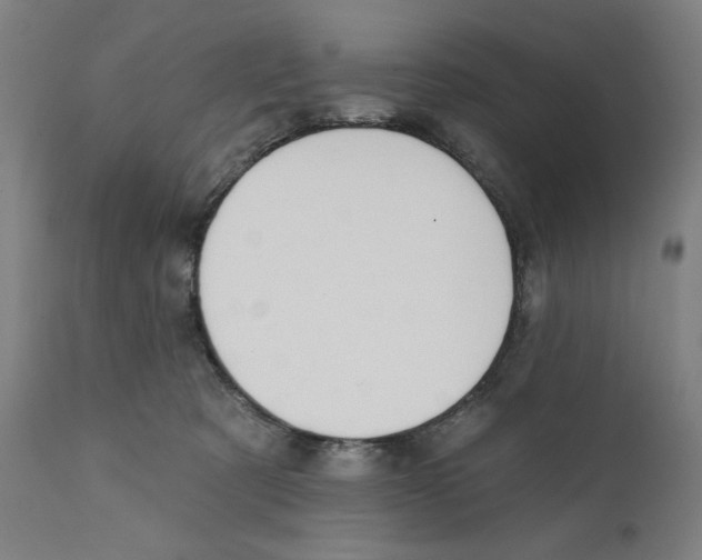 X0000111520321200908111208