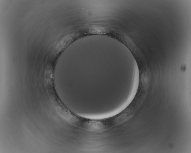 X0000111520322200908111208