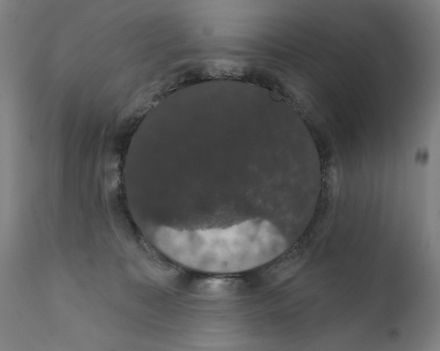 X0000111520323200908111208
