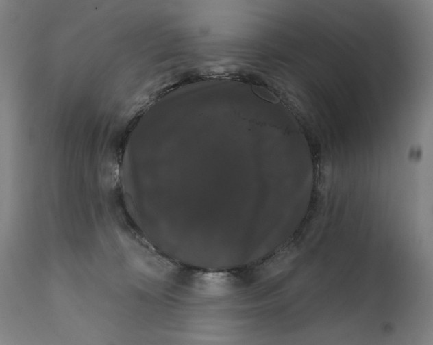 X0000111520324200908111208