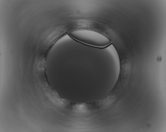 X0000111520325200908111208