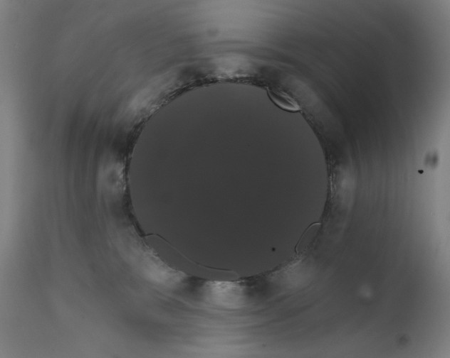 X0000111520327200908111208