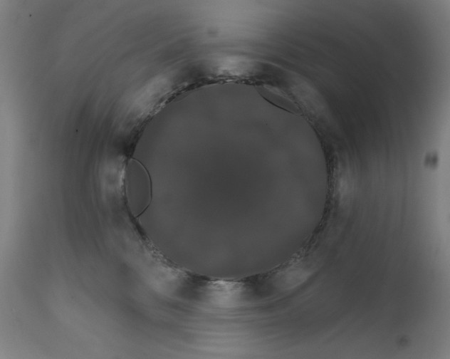 X0000111520328200908111208