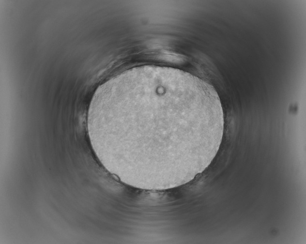 X0000111520329200908111208