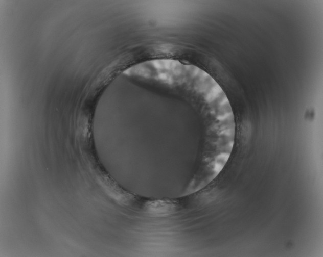 X0000111520331200908111208