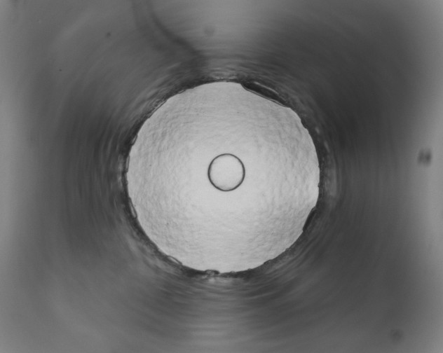 X0000111520332200908111208