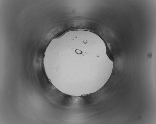 X0000111520333200908111208