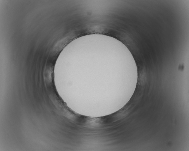 X0000111520334200908111208