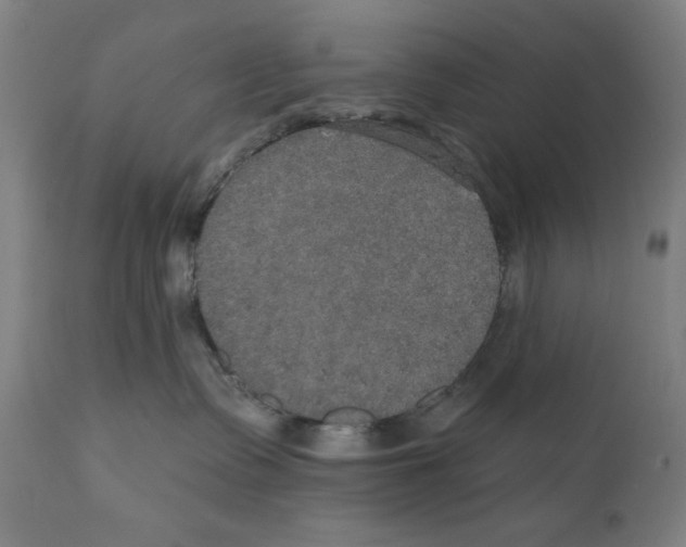 X0000111520335200908111208