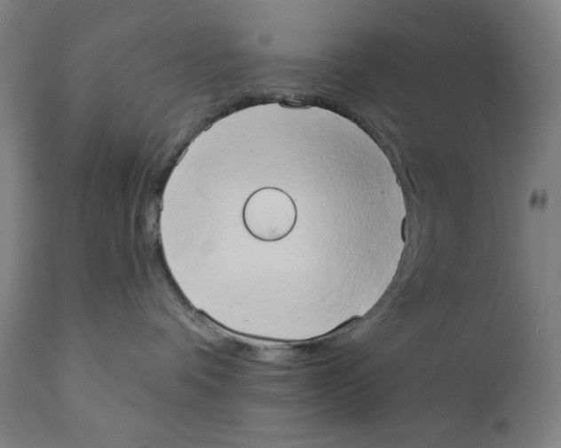 X0000111520336200908111208