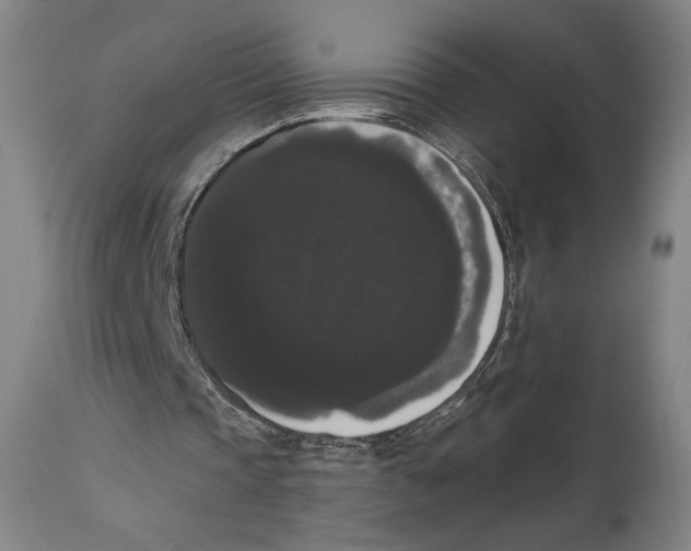 X0000111520337200908111207