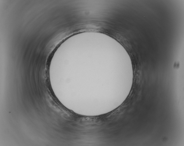 X0000111520338200908111207