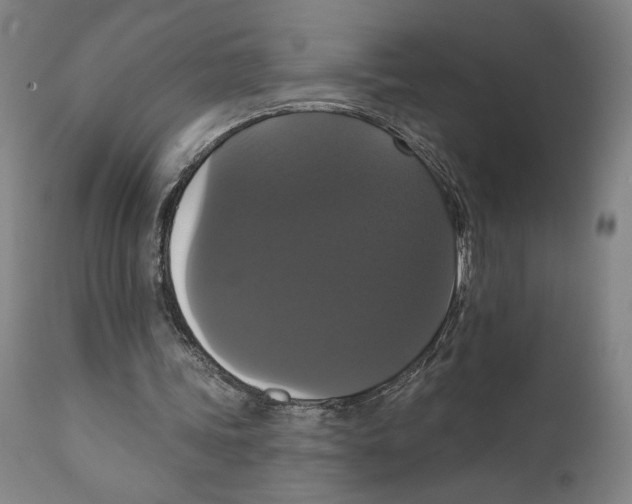 X0000111520339200908111207