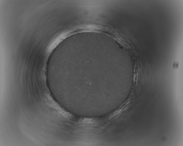 X0000111520341200908111207