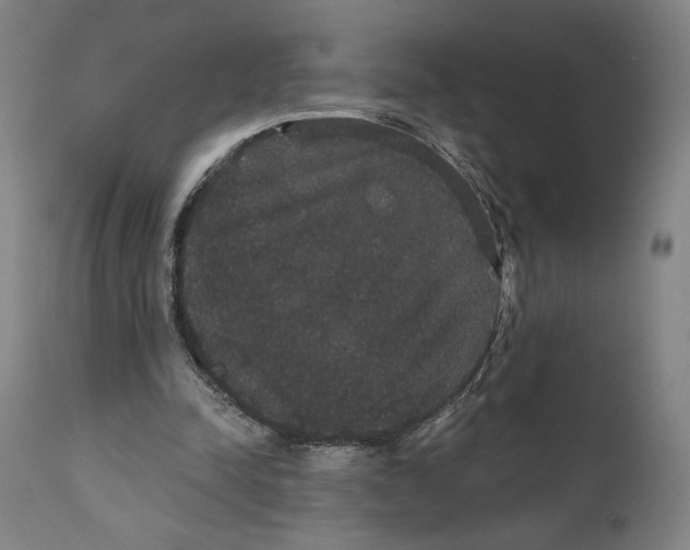 X0000111520342200908111207