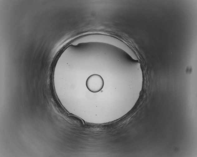 X0000111520344200908111207