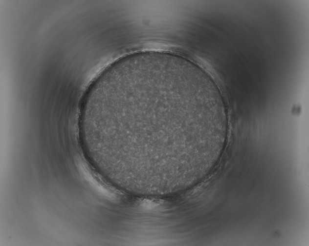 X0000111520346200908111207