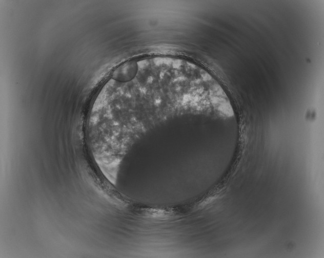 X0000111520347200908111207