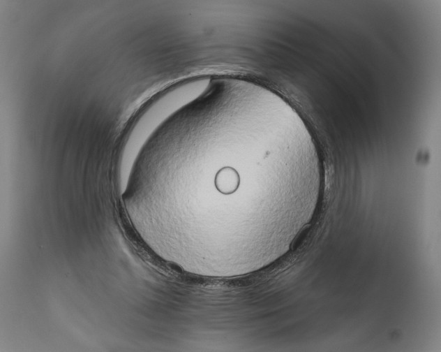 X0000111520348200908111207