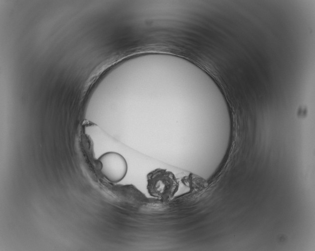 X0000111520349200908111207