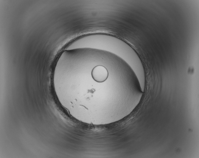 X0000111520350200908111207