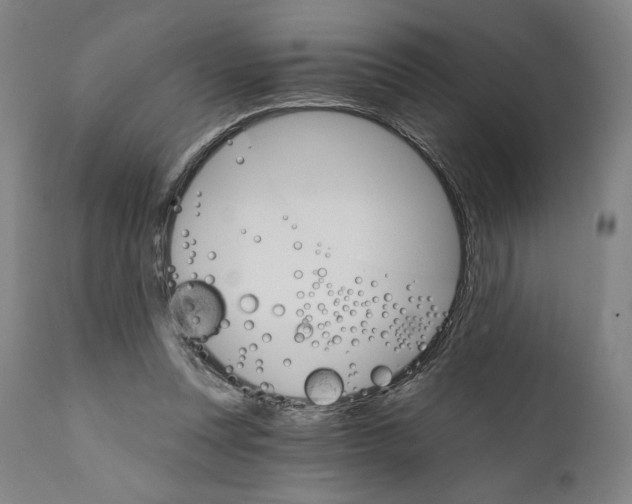 X0000111520351200908111207