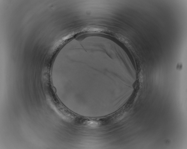 X0000111520352200908111207