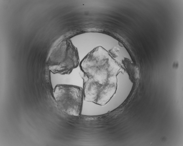 X0000111520353200908111207