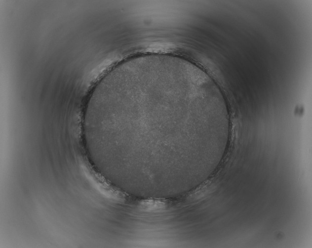 X0000111520354200908111207