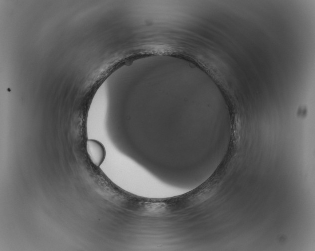 X0000111520355200908111207