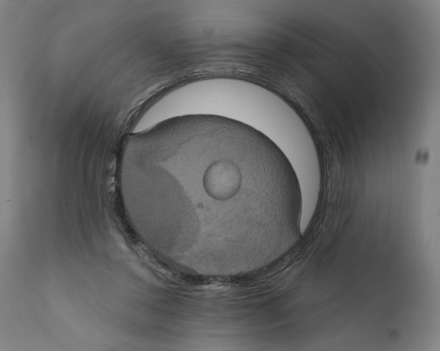 X0000111520356200908111207