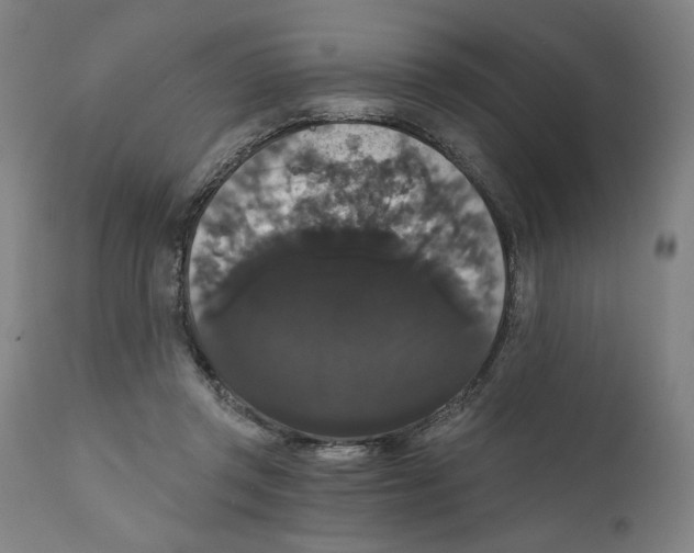 X0000111520357200908111207