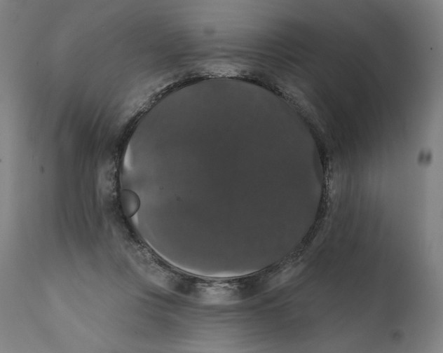 X0000111520359200908111208
