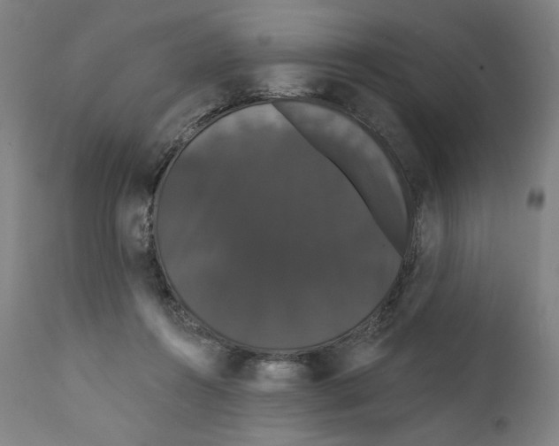 X0000111520360200908111208