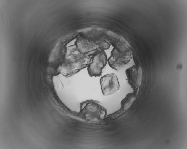 X0000111520361200908111208
