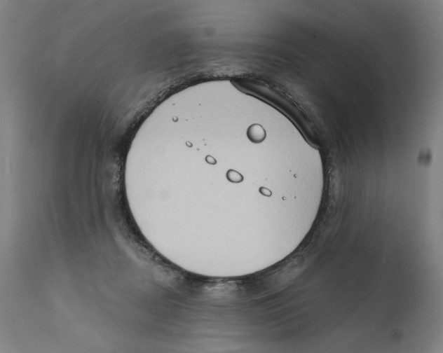 X0000111520362200908111208