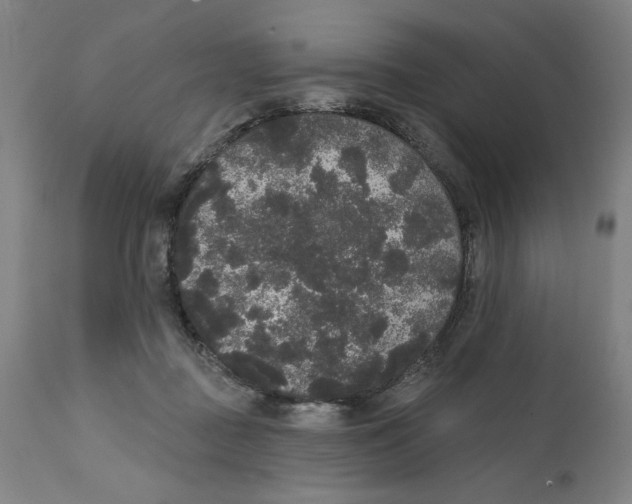 X0000111520363200908111208